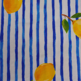 Boxer da uomo Limoni mediterranei